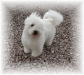 scooby10-08k-large-web-view.jpg