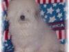 tonto3-7b_0.jpg