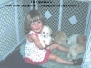 fionapups-medium-web-view.jpg