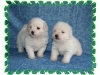 startfuu21508bb11-medium-web-view.jpg