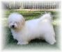 penny9-22-02-medium-web-view.jpg