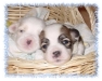 missienemadji11-2000-7-hmedium-web-view.jpg