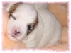 missnemadji11-2000-2h-medium-web-view.jpg